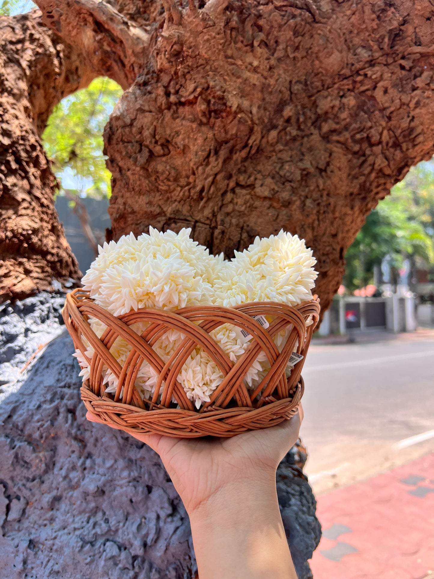 Scented Jasmine Scrunchies